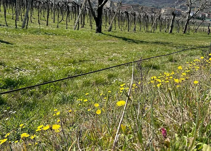 Apartment 15 Minuti Da Arena Di Verona Dimora Valpantena Verona